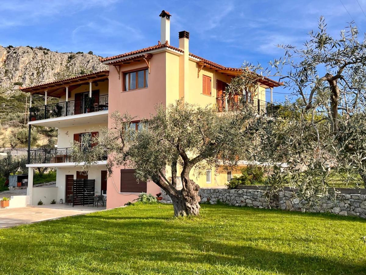 Ενtree Guest House Near Palamidi Castle นาฟปลิโอ ภายนอก รูปภาพ